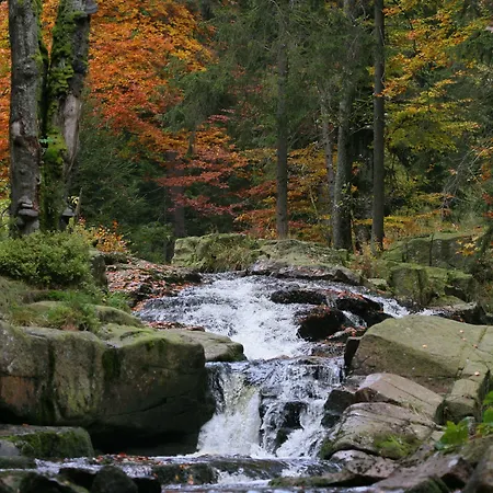 Rock Hotel Sankt Andreasberg