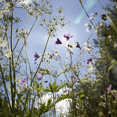 Rock 3* Sankt Andreasberg