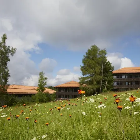 Rock Sankt Andreasberg